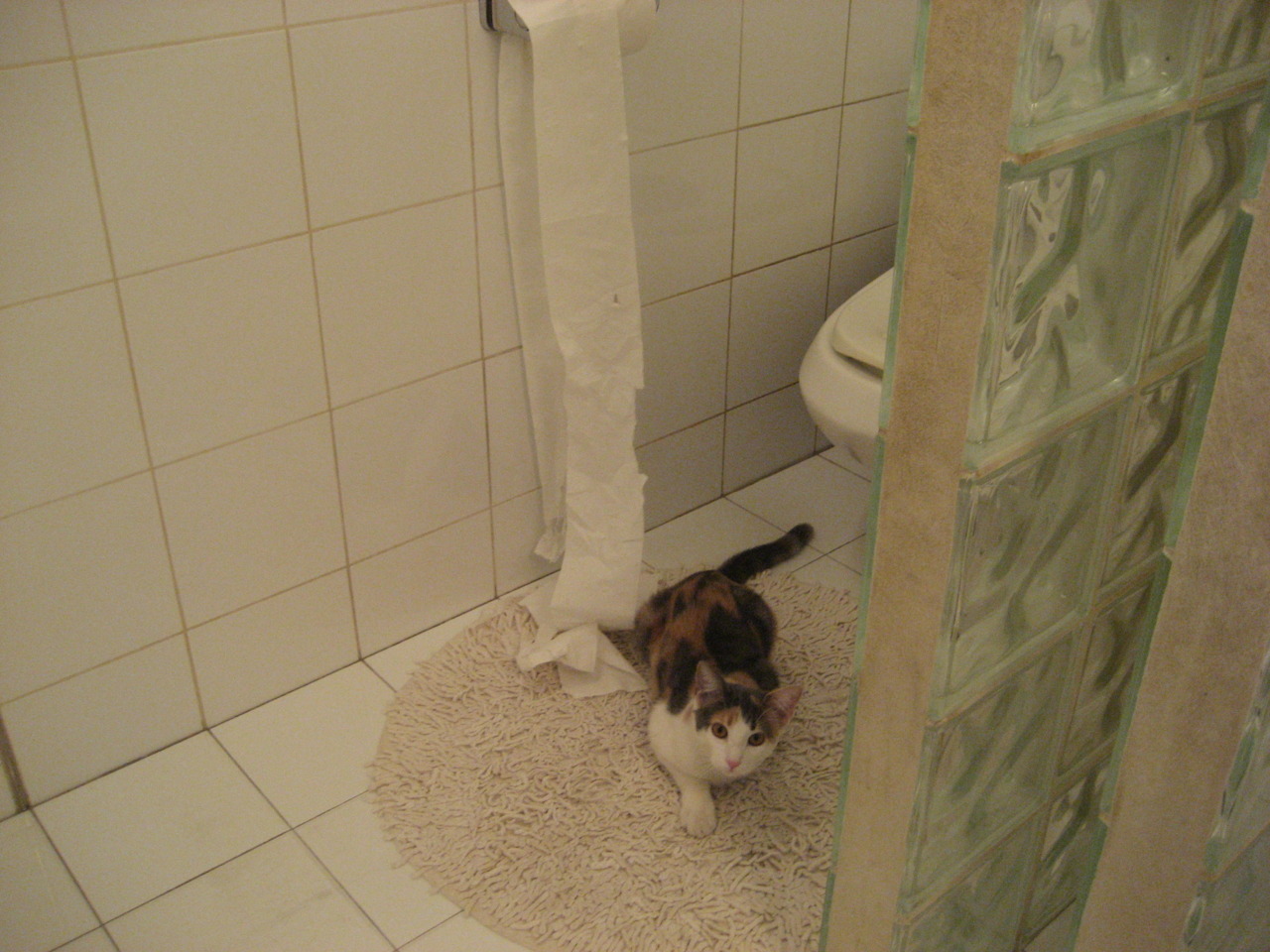 九游网页版入口-LPL赛区强强对话粉丝期待巅峰之战，lpl巅峰时刻bgm