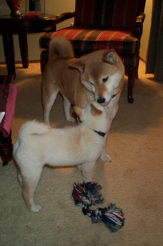 亚洲杯中国女足逆袭 球员发挥出色，2020中国女足亚洲足球小姐