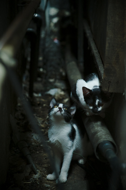 九游娱乐(jiuyou)官方网站-传控球队是否更易陷入节奏断裂导致失球困境，传控足球过时了吗