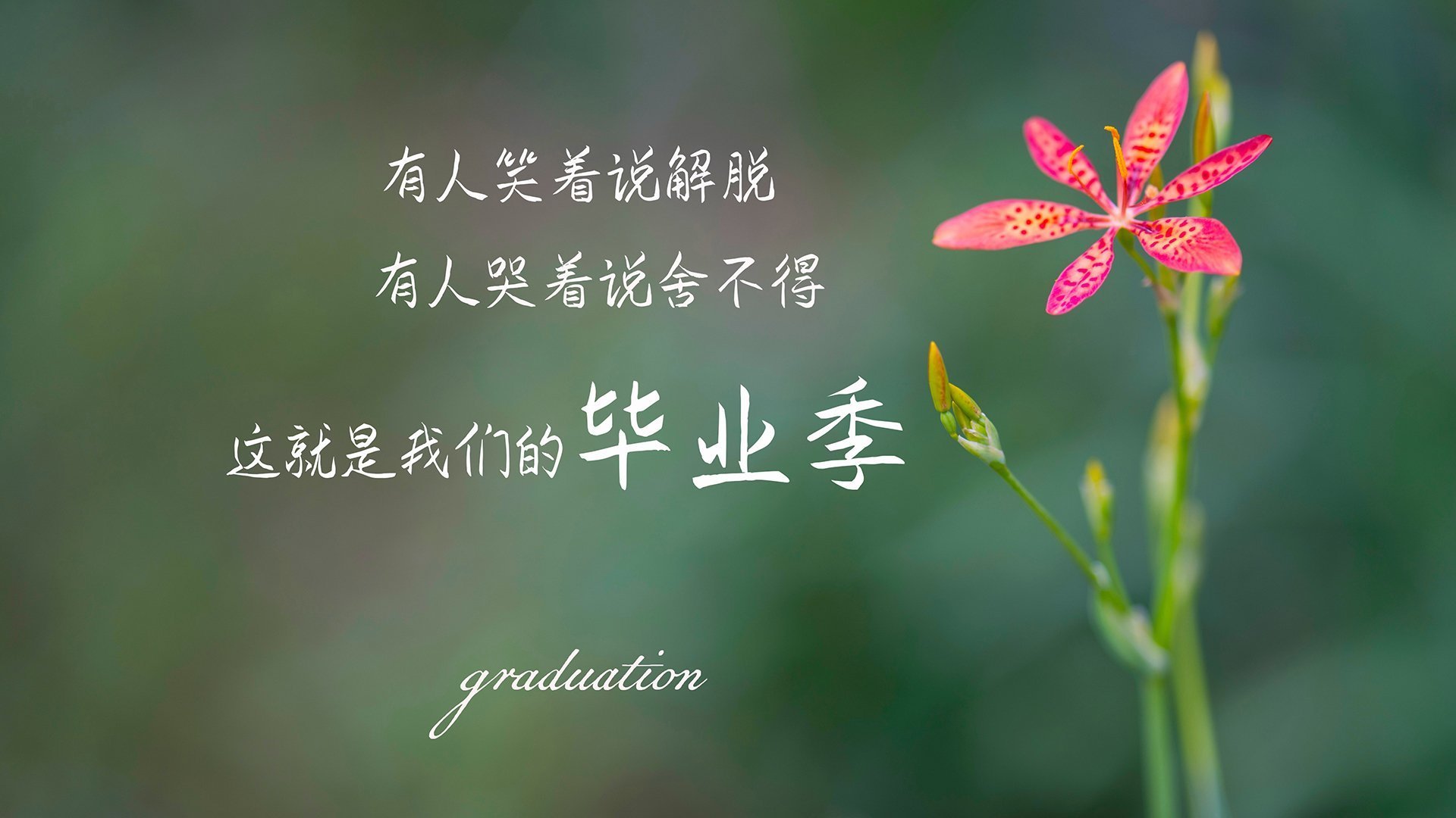 九游网页版入口-利物浦欧冠赛场迈向更高峰，冲击冠军荣耀