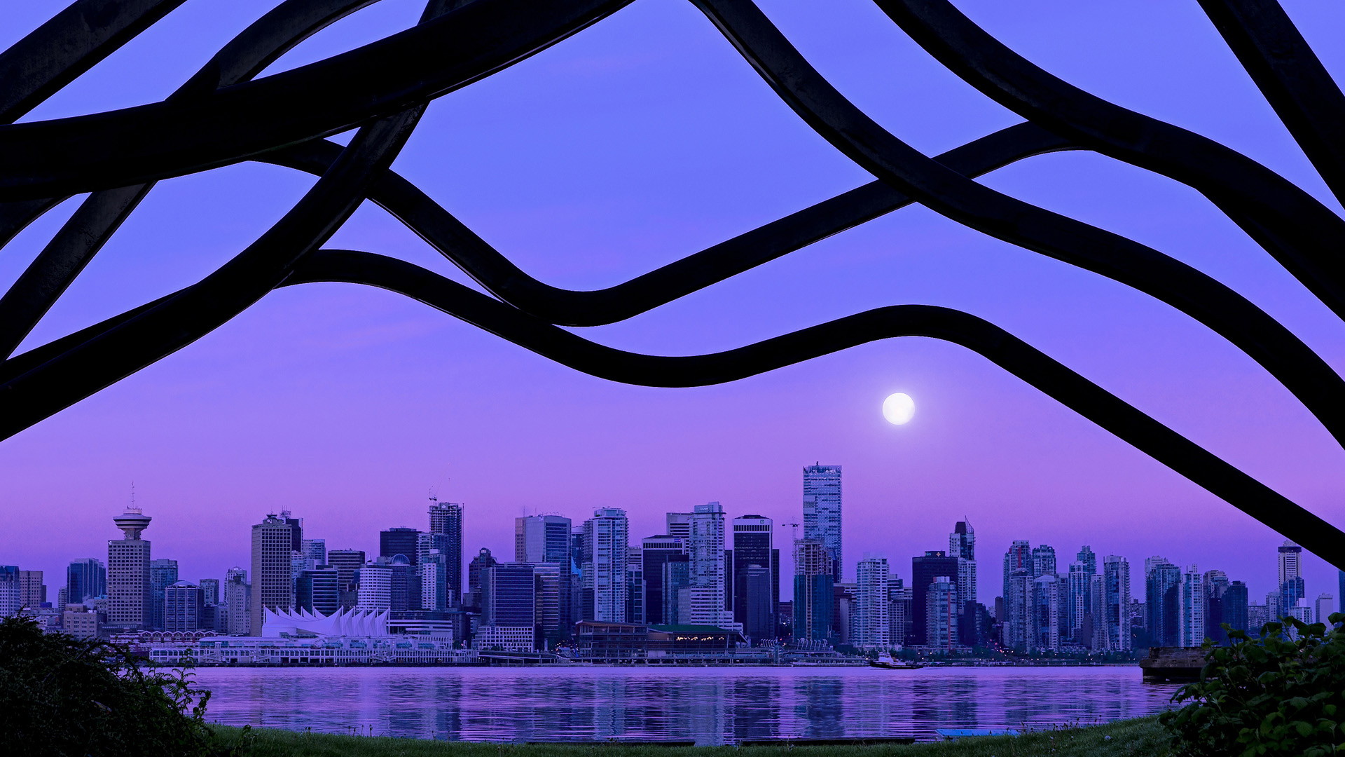 弗朗索瓦·斯图尔特：稳重的防守与精准的传球，为南非队打下坚实基础