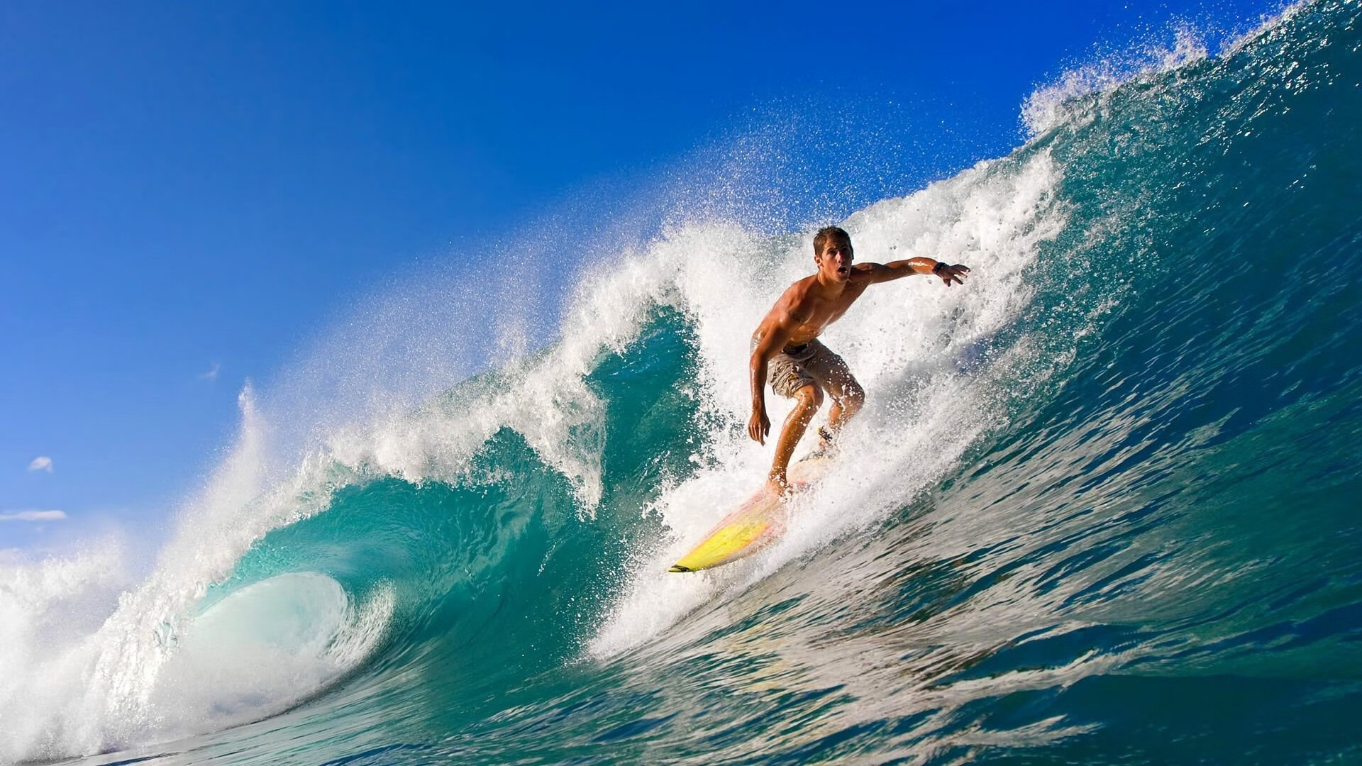 九游官网主页-德甲的智慧场馆建设经验