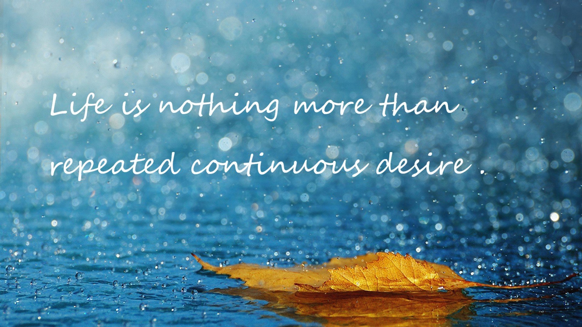 水球队体能训练加强,节奏控制更好,水球队几个人