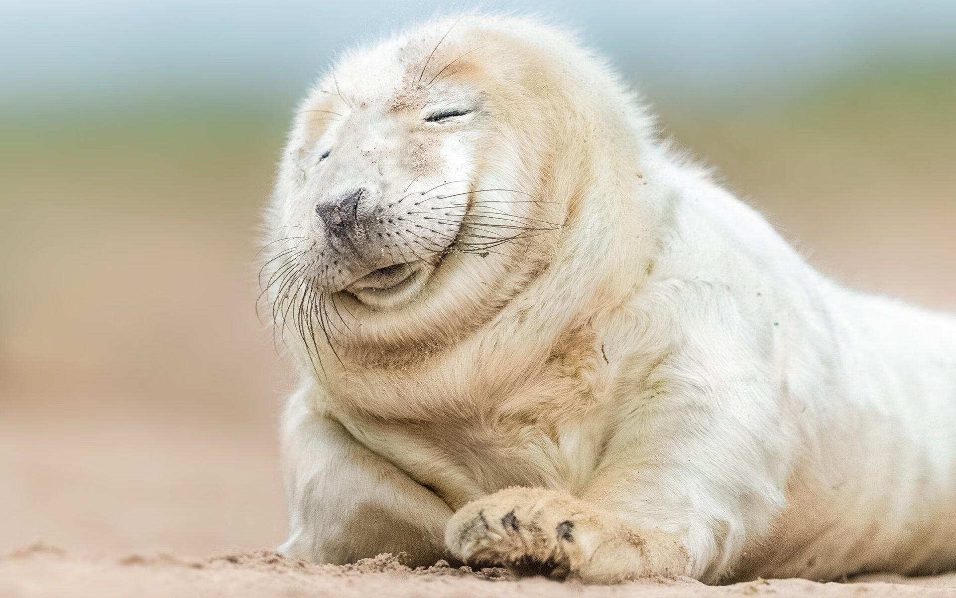 西甲爆破瞬间：超神进球震撼全场！，西甲爆冷规律