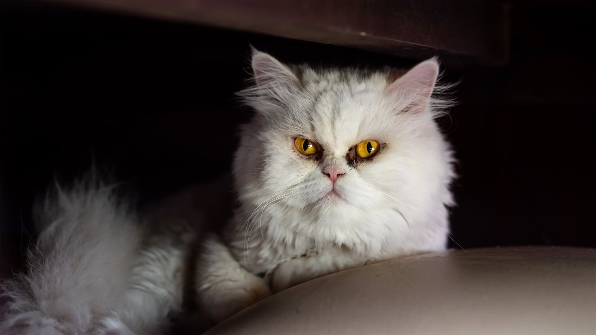 九游游戏中心官网-赛季尾声悬念陡增多支球队竞争资格线形势胶着，球队晋级